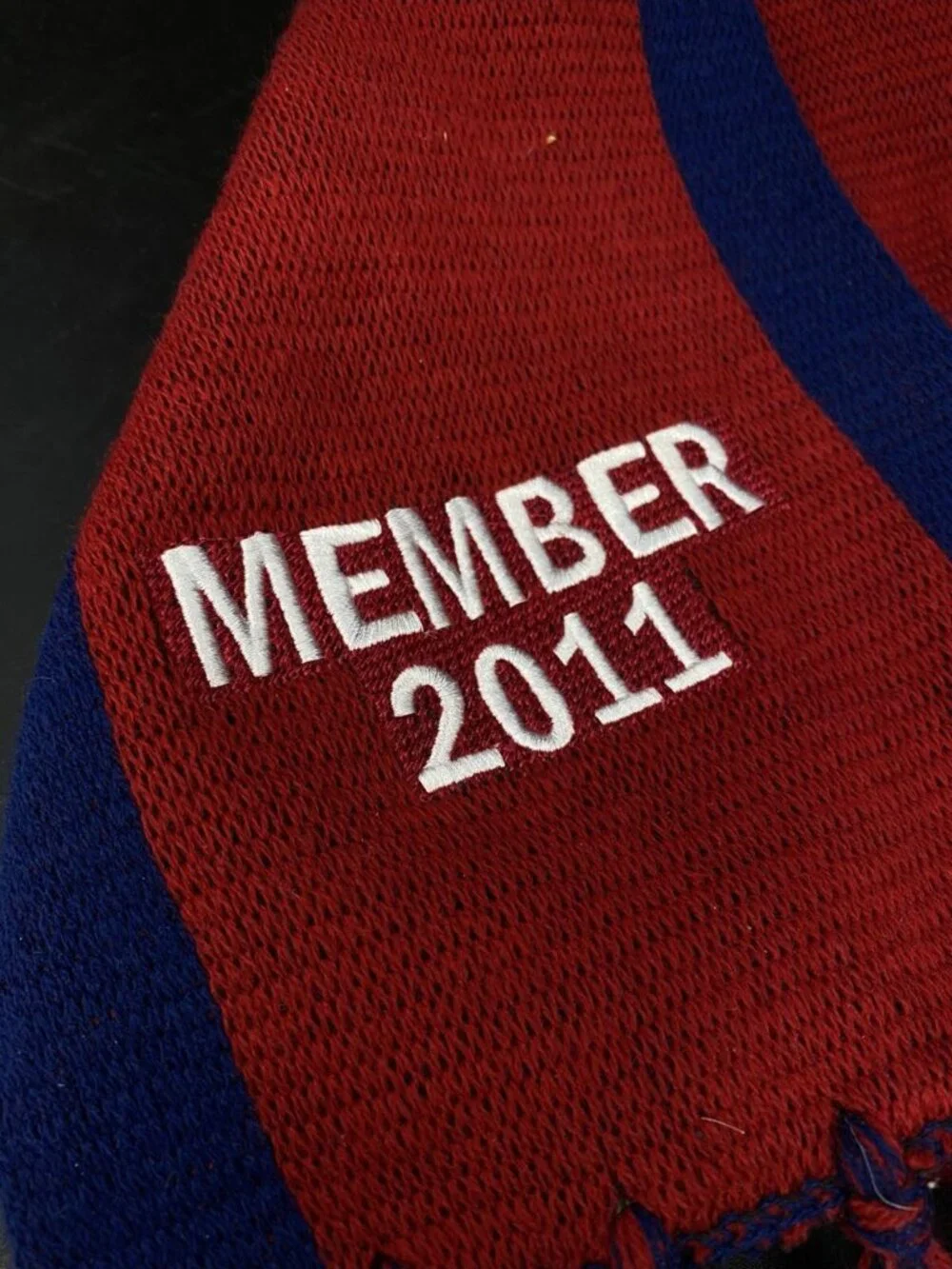 Melbourne Demons 2011 member